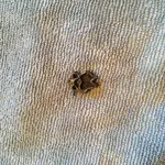 IMG_1318[1].webp