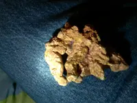 CAM00748.webp