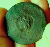 dandybutton1217.webp
