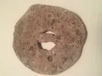 Button_back.webp