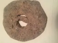 Button_Front_1.webp