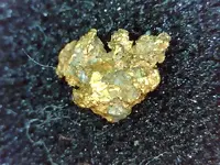 gold15.webp