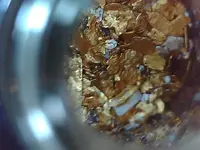 gold1.webp