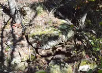 DSC_0862 (9).webp