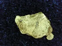 gold4.webp