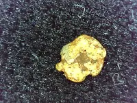 gold5.webp