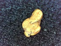 gold6.webp