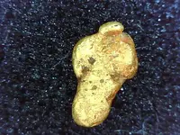 gold7.webp
