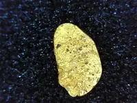 gold8.webp