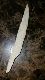 1446838363988.webp