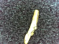 gold9.webp