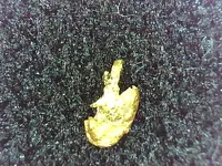 gold12.webp