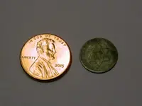 Size Comparison.webp
