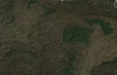 image2.webp