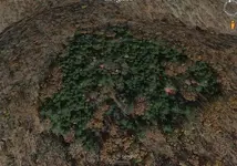 image.webp