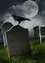 is22-1373303524-27547.webp