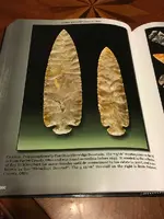 ImageUploadedByTreasureNet.com1449212815.037057.webp