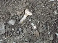 DSCF1797.webp