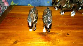 DSCN8653.webp