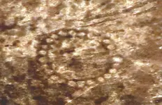 30KAZAKHSTAN2-articleLarge.webp