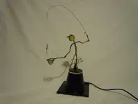 DSCN3437(1).webp
