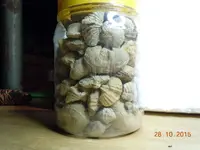 jar fos.webp