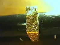 TINY RING.webp