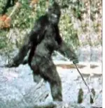 BIGFOOTxSASQUATCHxCOLLAGE16xlarge.webp