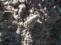 100_3825.webp