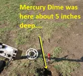 Four Dimes in the Park 007.webp