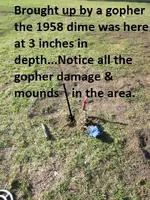 Four Dimes in the Park 009.webp