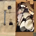 9mm_clips_shells.webp