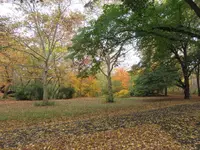 IMG_2098.webp