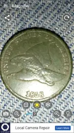 flyin eagle.webp