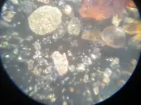 rolled gold 1.webp