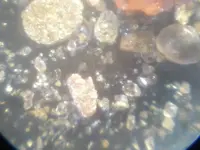 rolled gold 2.webp