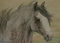 Miniature 5x7 High Desert Horse e-mail.webp