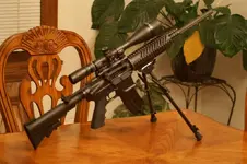 Guns 002 (Medium).webp
