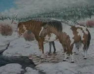 Winter at Two Rivers revised e-mail.webp