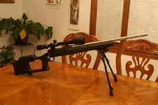 Guns 003 (Medium).webp