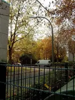 otoño 1.webp