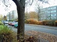 otoño 2.webp