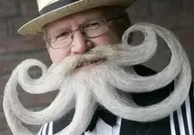 beard5.webp