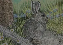 ACEO e-mail Spring Hare.webp