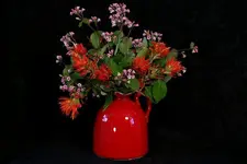 waldodell 077.webp