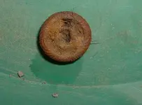 DSCF0004.webp