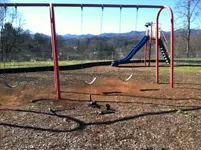 ImageUploadedByTreasureNet.com1448491793.145535.webp