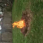 IMG_1326[1].webp