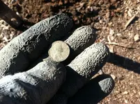 ImageUploadedByTreasureNet.com1448491865.428740.webp