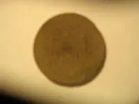 DSCN2268.webp